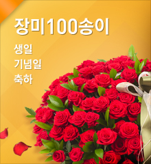 장미100송이