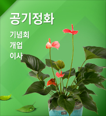 공기정화