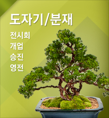 도자기분재