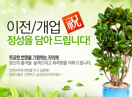 이전/개업
